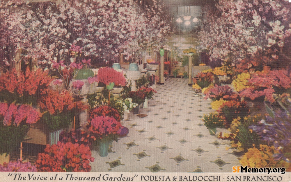 Podesta & Baldacchi Florist