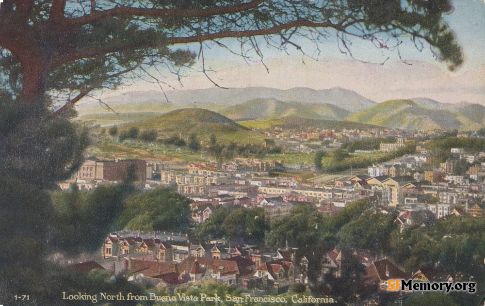 View from Buena Vista Park