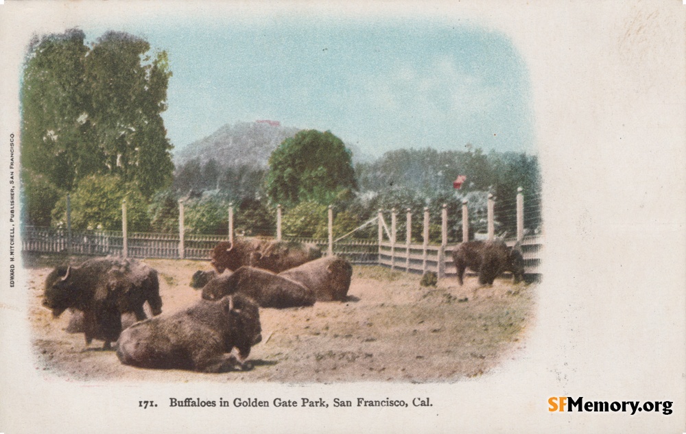 Golden Gate Park