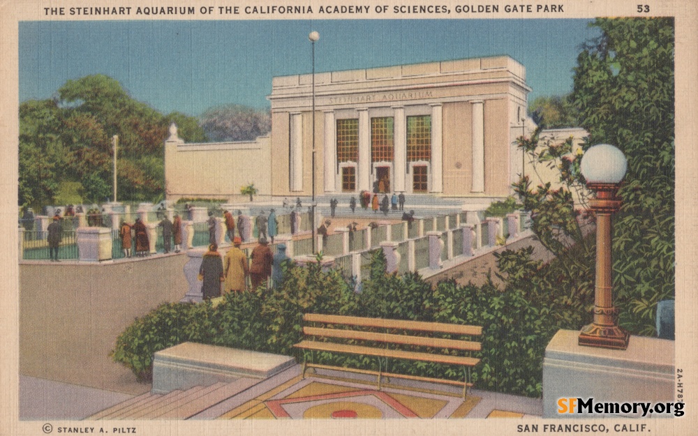 Golden Gate Park