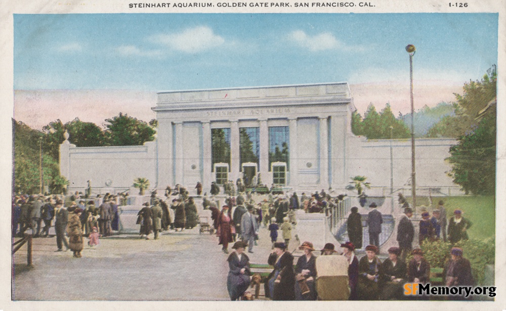 Golden Gate Park