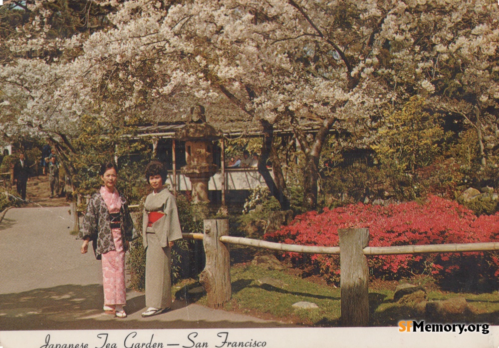 Japanese Tea Garden