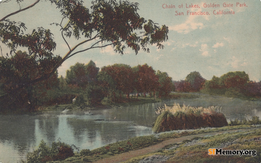 Golden Gate Park