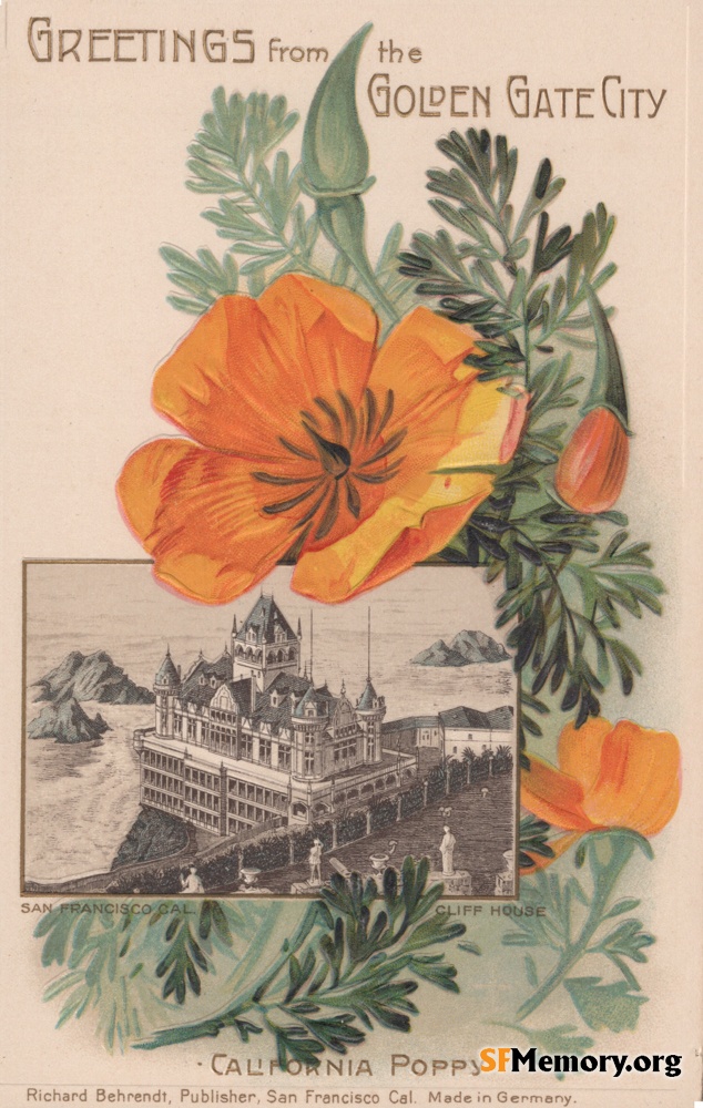 2nd Cliff House