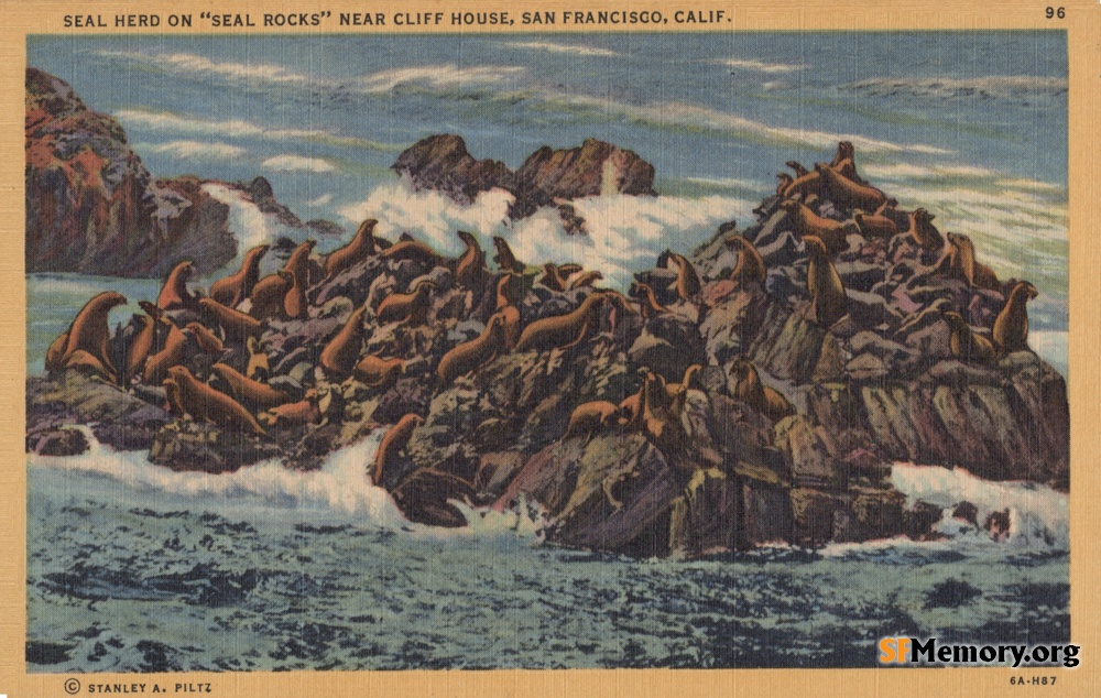 Seal Rocks