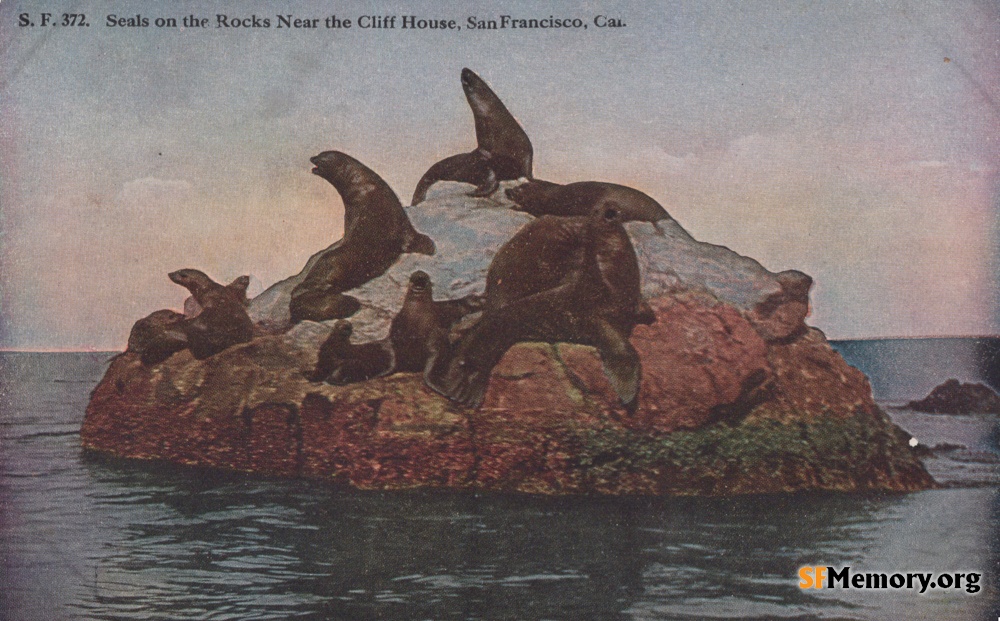 Seal Rocks