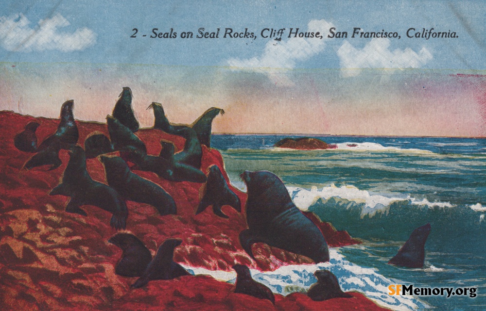 Seal Rocks