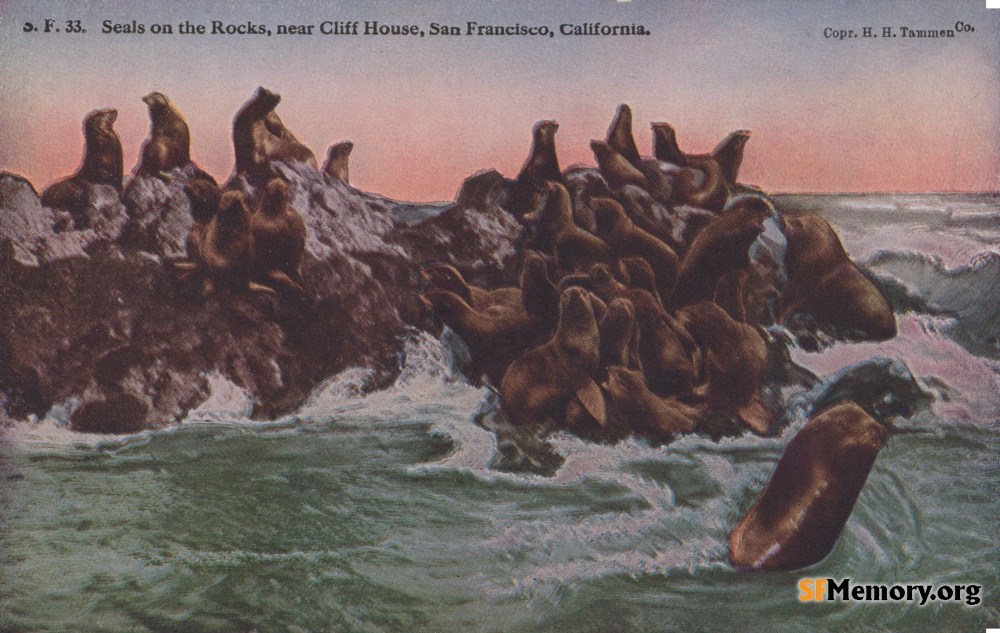 Seal Rocks