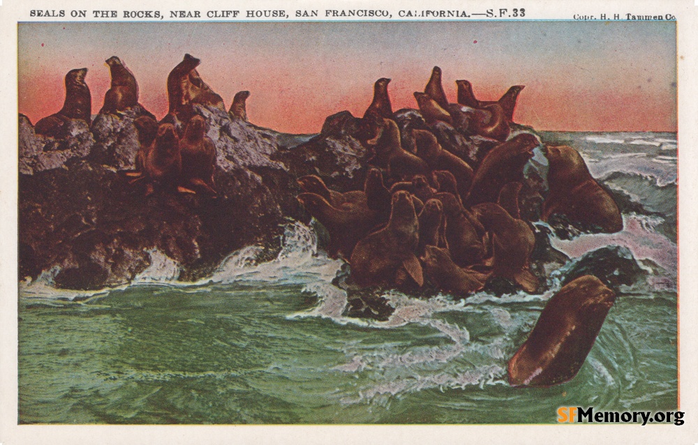 Seal Rocks