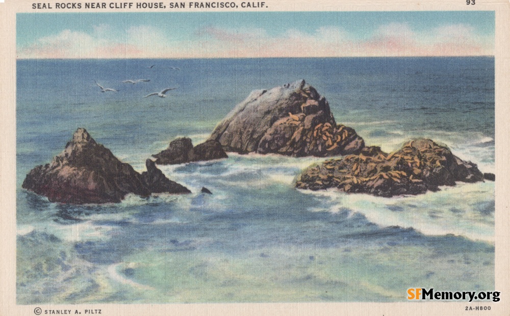 Seal Rocks