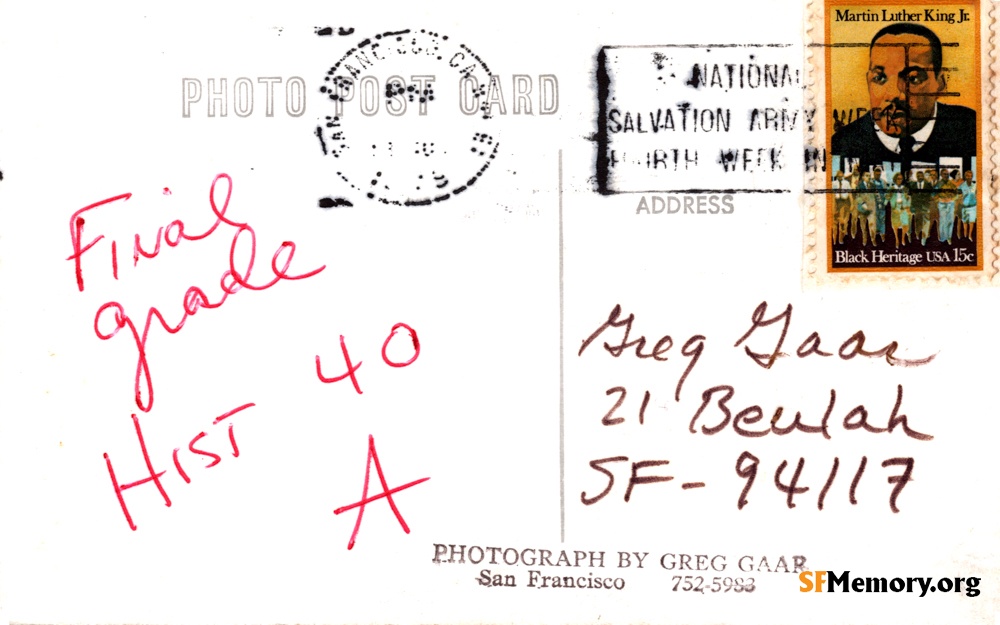 Reverse: SF Zoo Bear
