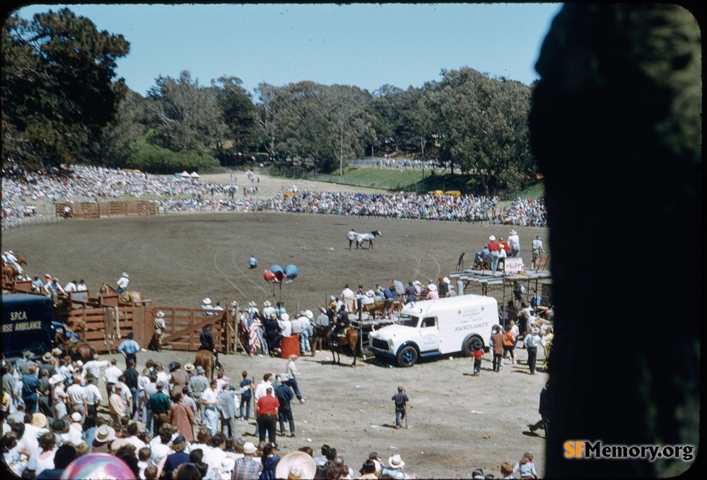 Golden Gate Park