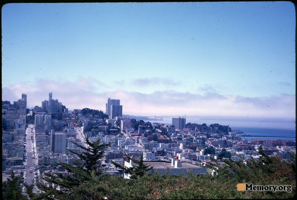 View from Telegraph Hill