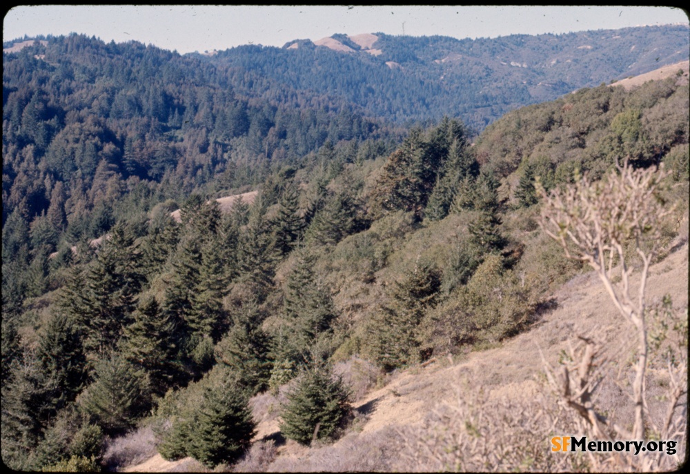 Mt. Tamalpais