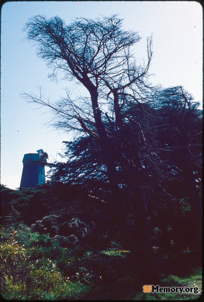 Dutch Windmill