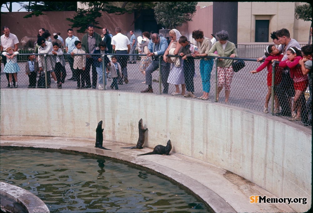 SF Zoo