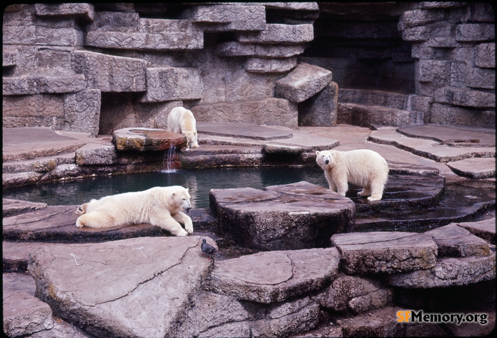 SF Zoo