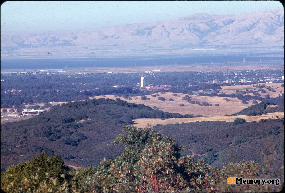 Stanford