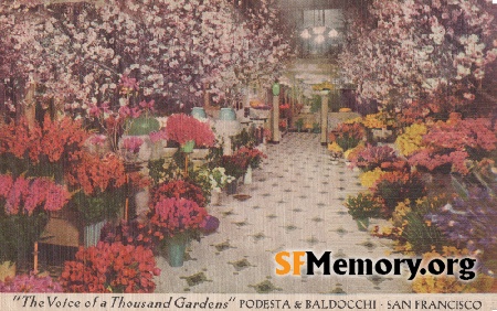 Podesta & Baldacchi Florist