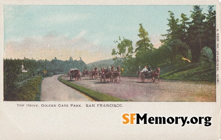 Golden Gate Park