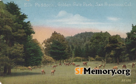Golden Gate Park