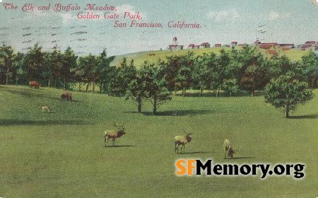 Golden Gate Park