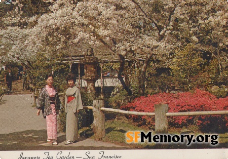 Japanese Tea Garden