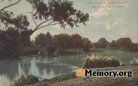 Golden Gate Park