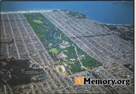 Golden Gate Park Aerial