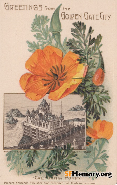 2nd Cliff House