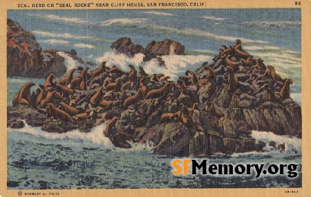 Seal Rocks