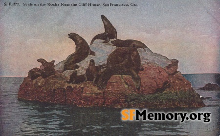 Seal Rocks