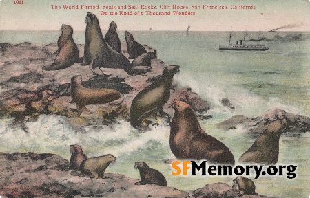 Seal Rocks