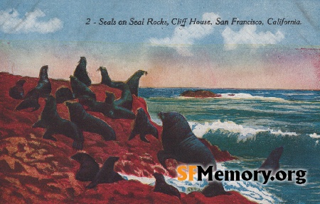 Seal Rocks