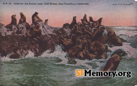 Seal Rocks