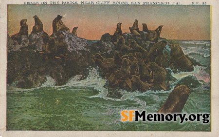 Seal Rocks