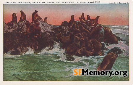 Seal Rocks