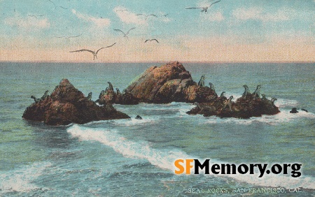 Seal Rocks