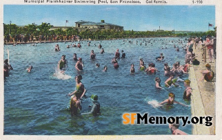 Fleishhacker Pool