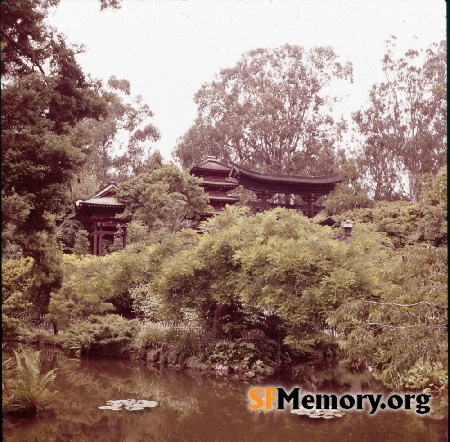 Japanese Tea Garden